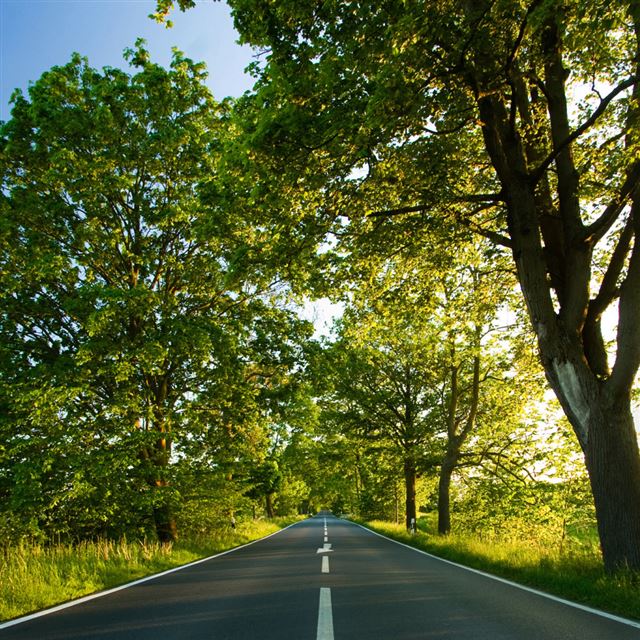1024x1024 Road Summer - summer iPad Wallpaper