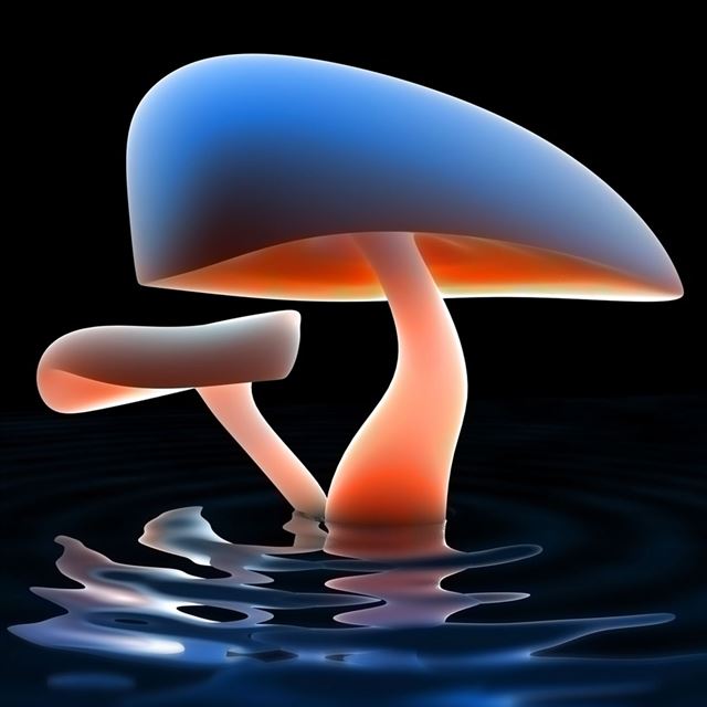 1024x1024 Mushroom Lake - orange iPad Wallpaper
