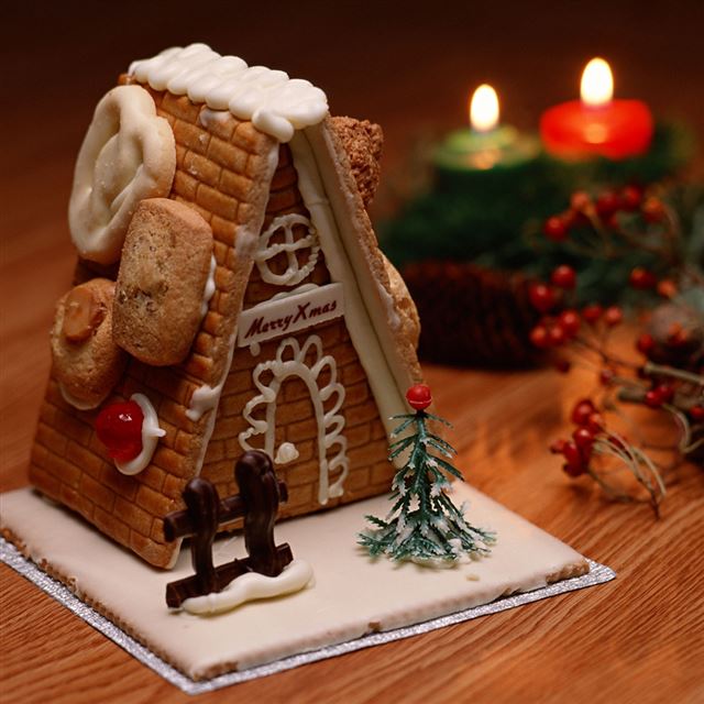 1024x1024 Christmas cookies homes -  iPad Wallpaper