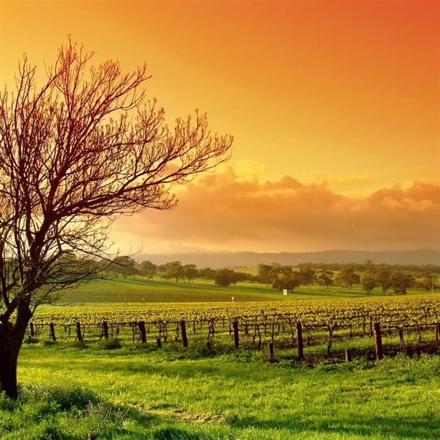 1024x1024 Colourful Sunset - colourful iPad Wallpaper