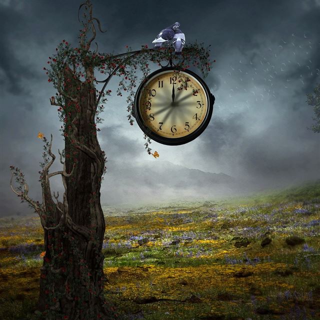 1024x1024 Fantasy Tree Watch - tree iPad Wallpaper