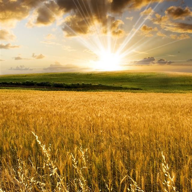 1024x1024 Cool Sunset - cool iPad Wallpaper