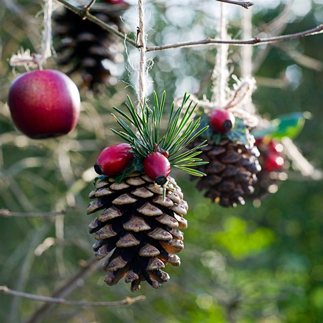 1024x1024 Christmas tree on the pineal - apple iPad Wallpaper