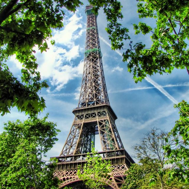 1024x1024 Eiffel Tower - tree iPad Wallpaper