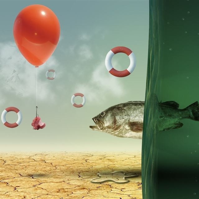 1024x1024 Fish Baiting   - orange iPad Wallpaper