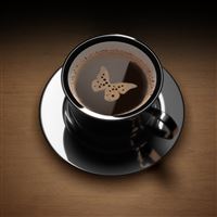 Butterfly Coffee wallpaper