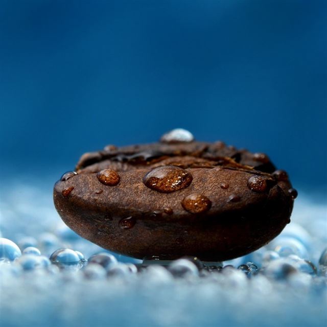 1024x1024 Coffee Bean - coffee iPad Wallpaper