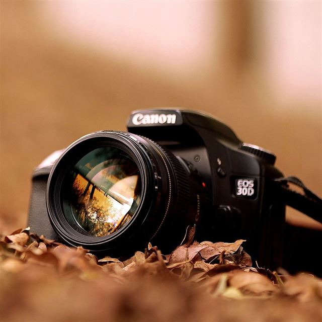 1024x1024 Canon Eos 30D - brown iPad Wallpaper