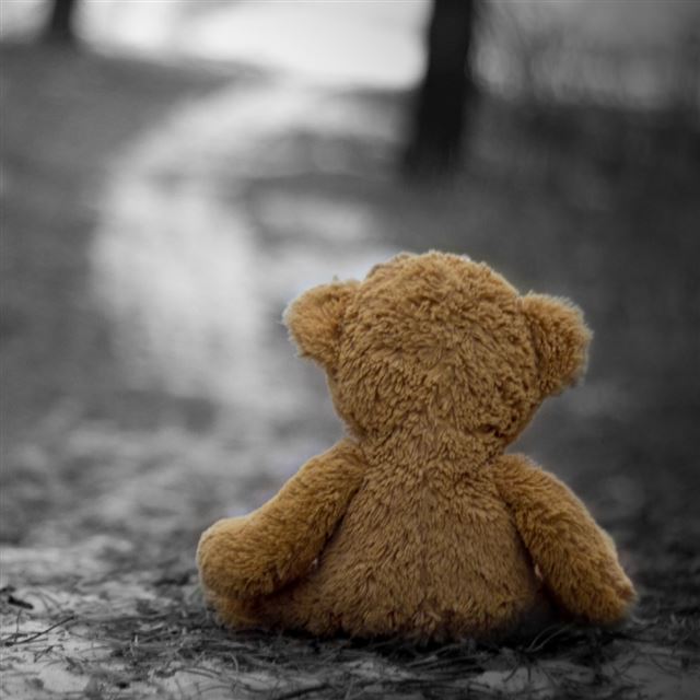 1024x1024 Teddy Bear In The Wood - bear iPad Wallpaper