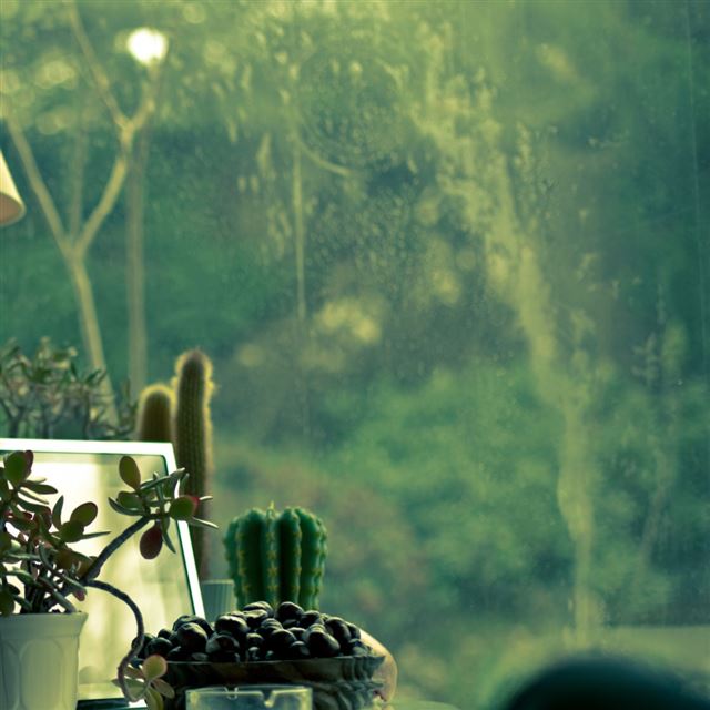 1024x1024 Lamp - plant iPad Wallpaper