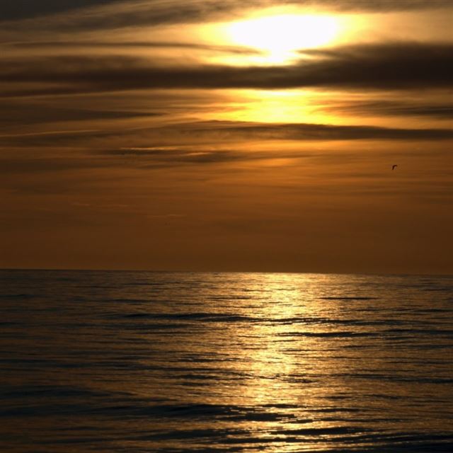 1024x1024 Dark Sunset Beach - ocean iPad Wallpaper