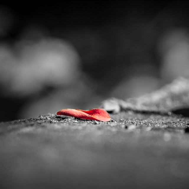 1024x1024 Red 4 - floor iPad Wallpaper
