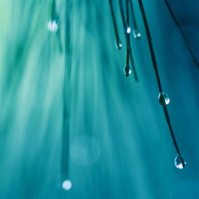 1024x1024 Rainy - water iPad Wallpaper