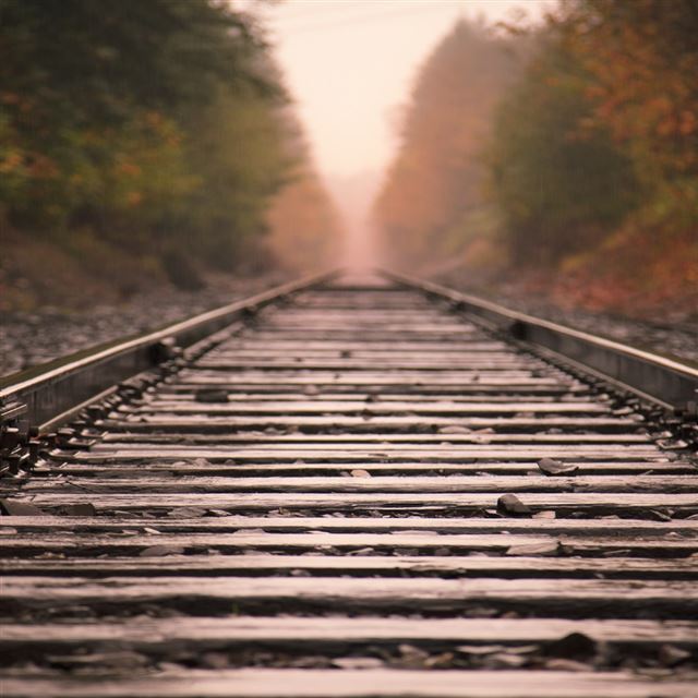 1024x1024 Railroad Tracks - tree iPad Wallpaper
