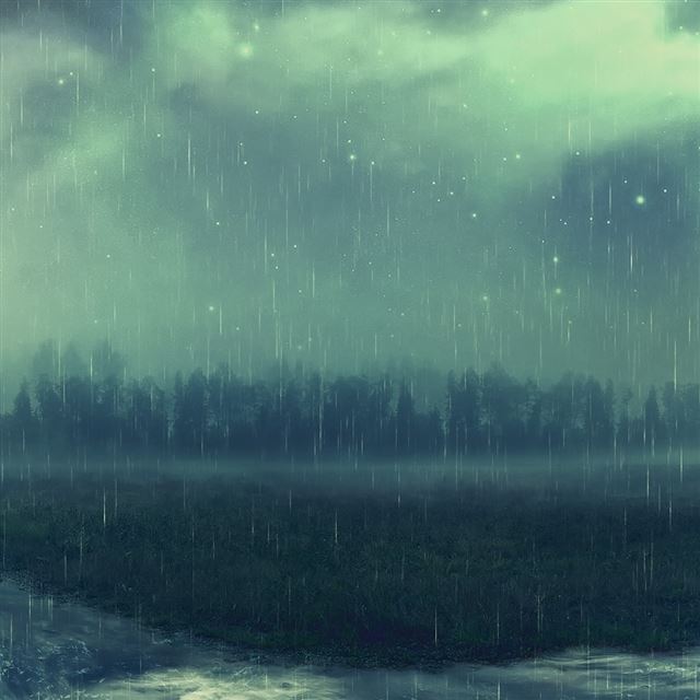 1024x1024 Downpour - tree iPad Wallpaper