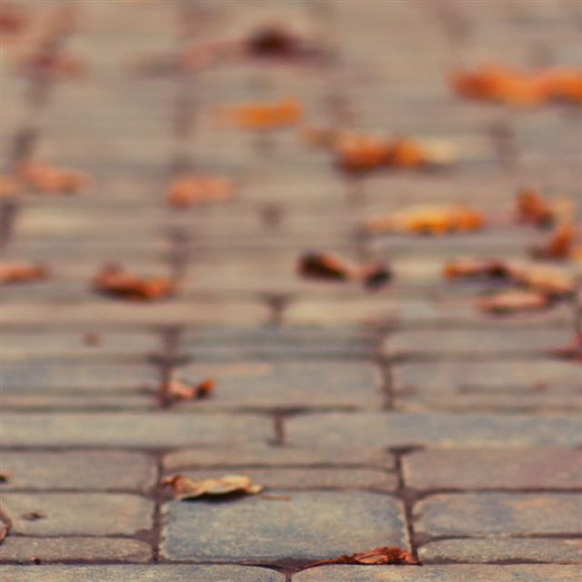1024x1024 October Leaves - orange iPad Wallpaper