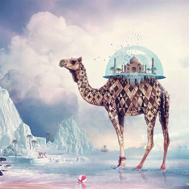 1024x1024 Taj Mahal Camel - ocean iPad Wallpaper