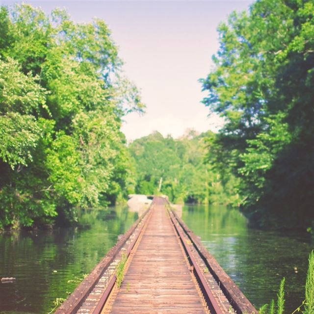1024x1024 Rail Bridge Mississippi River Flooding Louisiana - tree iPad Wallpaper