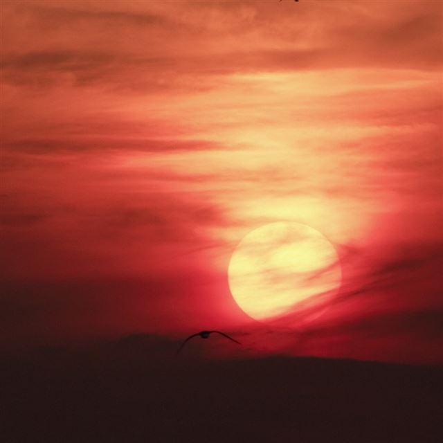 1024x1024 Journey To The Sun - journey iPad Wallpaper