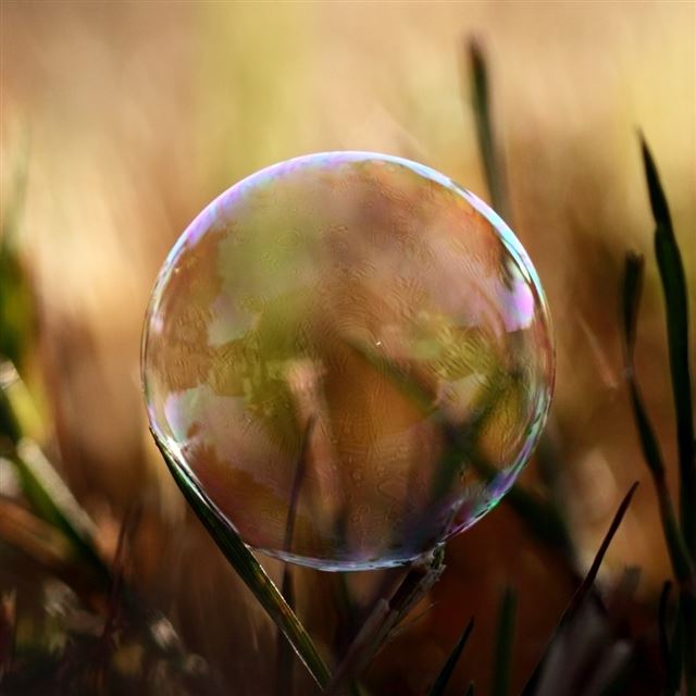 1024x1024 Soap Bubble On Grass - green iPad Wallpaper