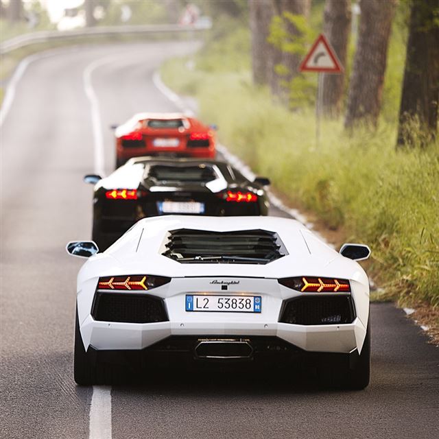 1024x1024 Lamborghini Cars 2 - road iPad Wallpaper