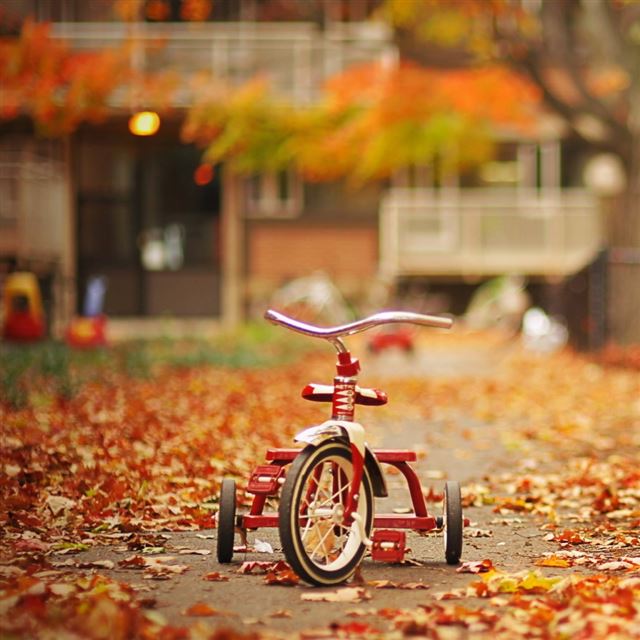 1024x1024 Tricycle - house iPad Wallpaper