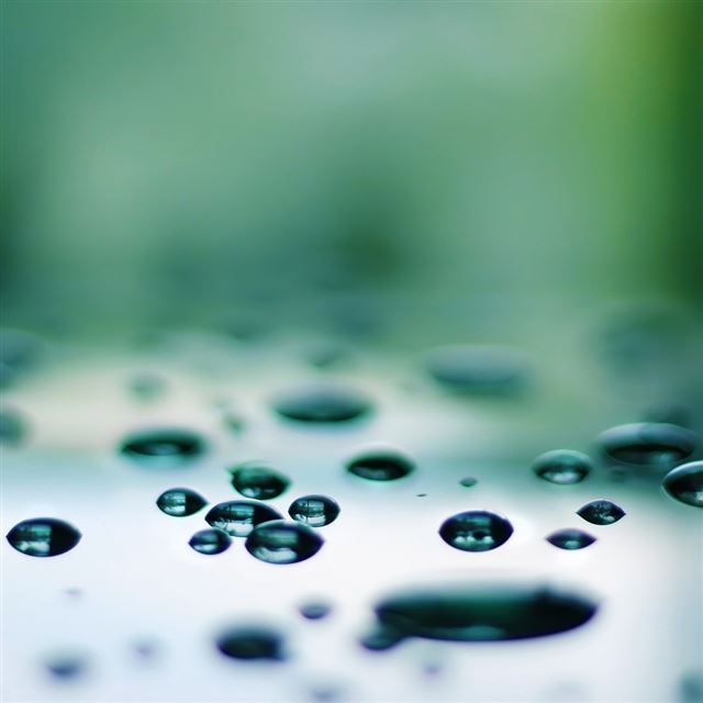 1024x1024 Drops Macro 2 - macro iPad Wallpaper