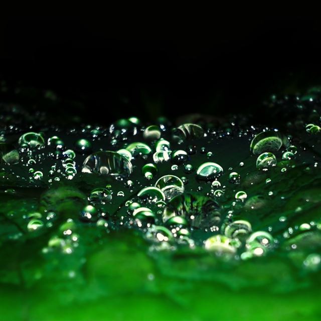 1024x1024 Rain Drops 2 - bubble iPad Wallpaper