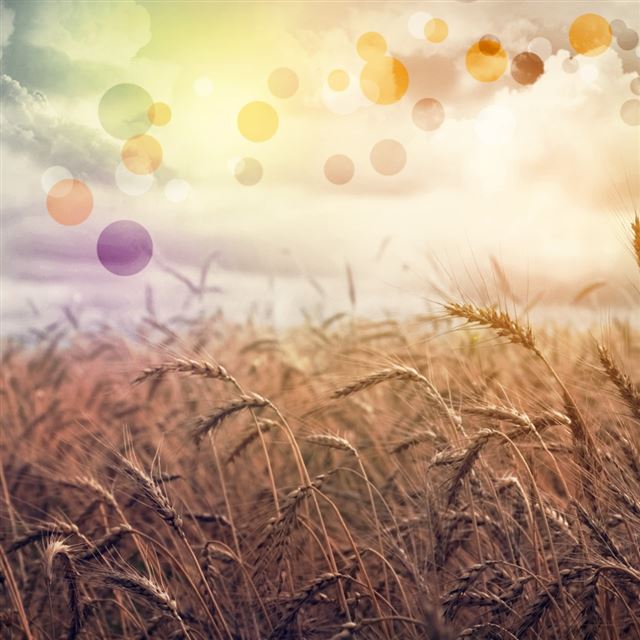 1024x1024 Rainbow Country - rainbow iPad Wallpaper