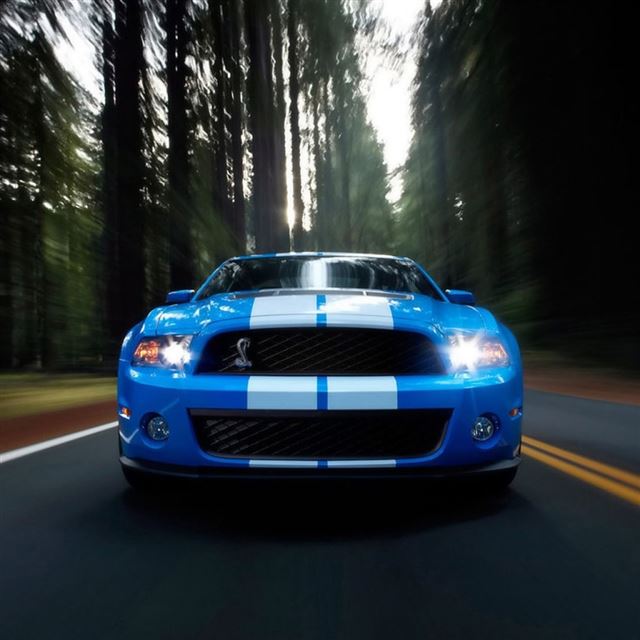 1024x1024 Ford Shelby Blue - road iPad Wallpaper