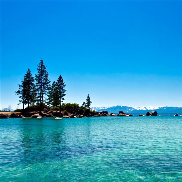 1024x1024 Lake Tahoe California - tree iPad Wallpaper