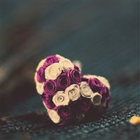 Roses Heart wallpaper