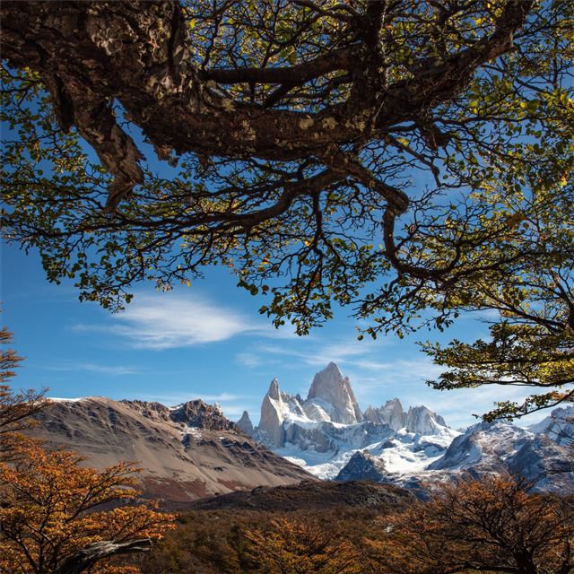 1024x1024 mount fitz - mountains iPad Wallpaper