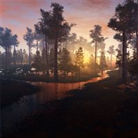 beautiful morning in forest 4k wallpaper