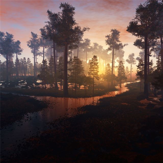 1024x1024 beautiful morning in forest 4k - 4k iPad Wallpaper