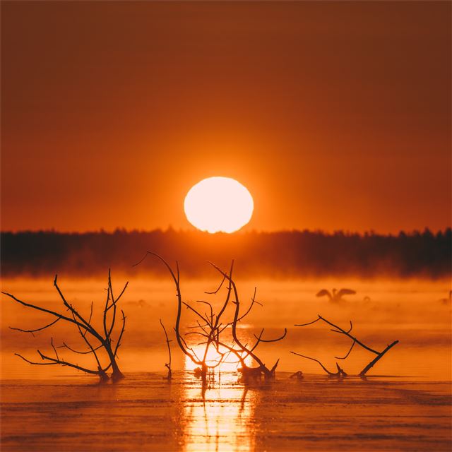 1024x1024 sunset evening 5k - 5k iPad Wallpaper