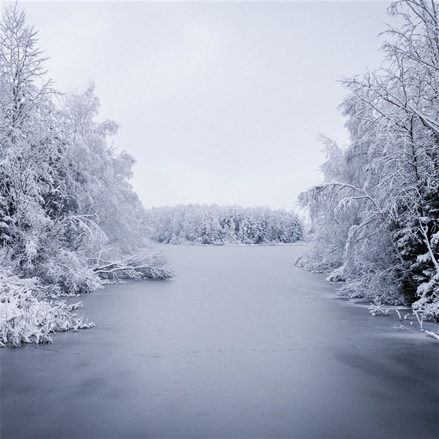 1024x1024 merry christmas 4k - winter iPad Wallpaper
