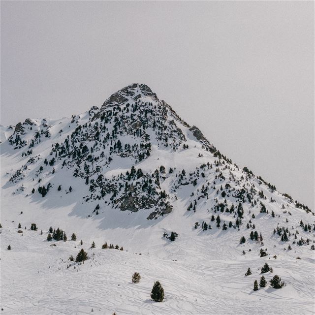 1024x1024 snow capped mountains winter 5k - mountains iPad Wallpaper