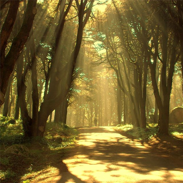 1024x1024 great hall of nature palace -  iPad Wallpaper