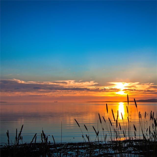 1024x1024 lake landscape 5k - landscape iPad Wallpaper