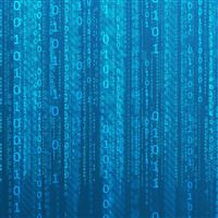 Matrix Binary wallpaper