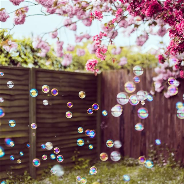 1024x1024 flowers trees bubbles 4k - bubbles iPad Wallpaper