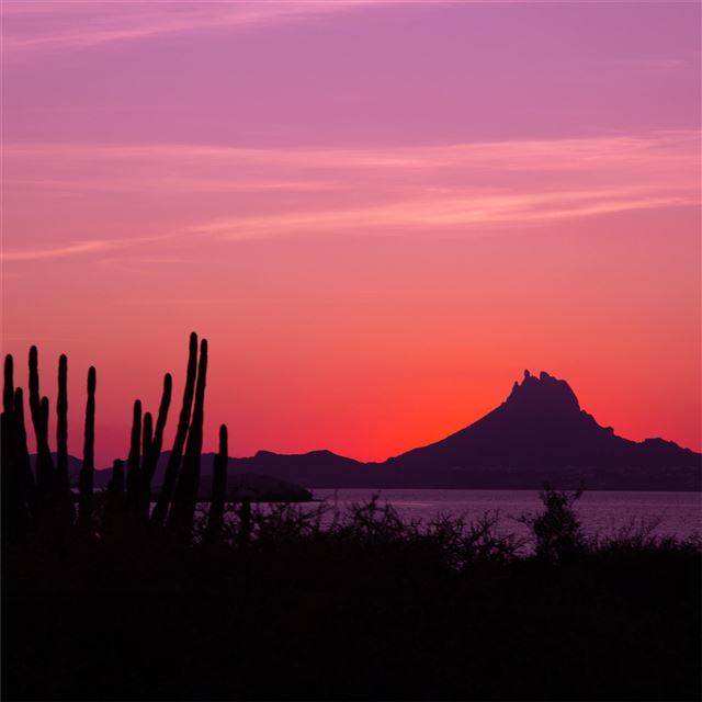 1024x1024 sunset landscape nature 5k - landscape iPad Wallpaper