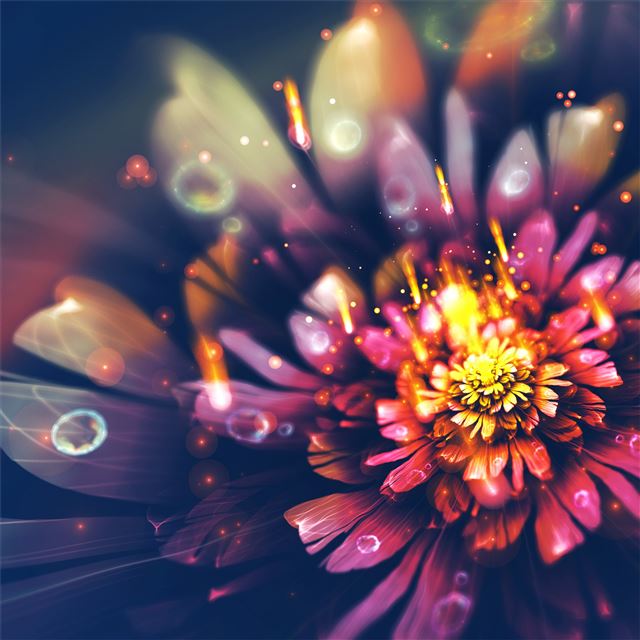1024x1024 digital flower fractal arts 4k - deviantart iPad Wallpaper