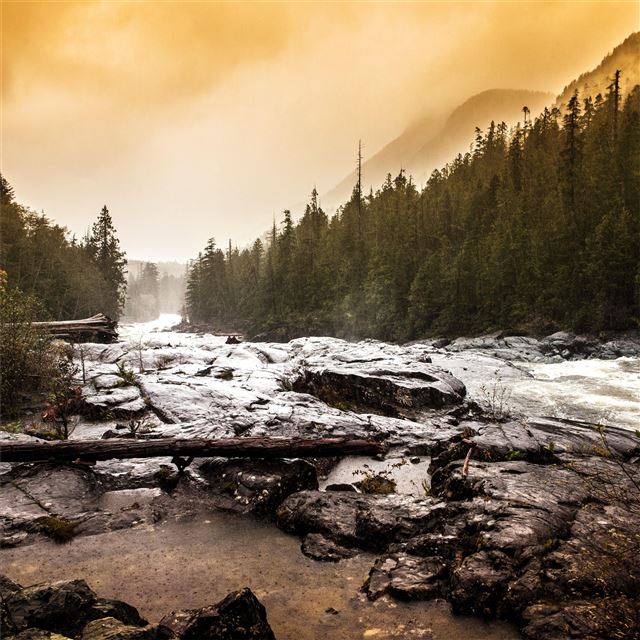 1024x1024 mountain conifer shoreline 5k - mountains iPad Wallpaper