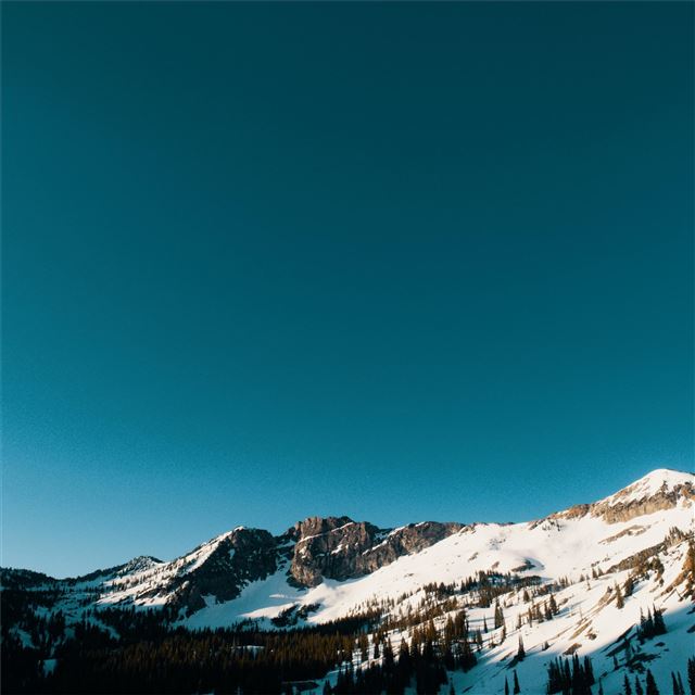 1024x1024 snow capped mountains and trees 5k - mountains iPad Wallpaper