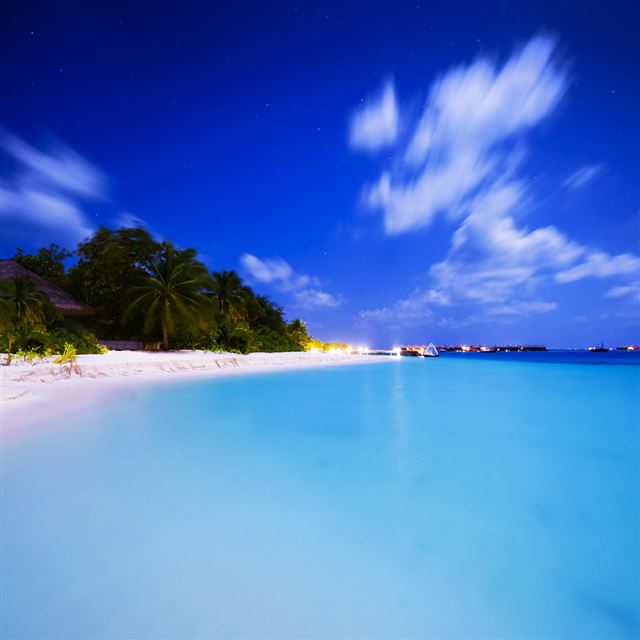 1024x1024 Maldivian Night - tree iPad Wallpaper