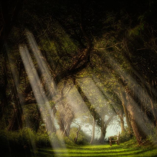 1024x1024 Dark and Light - chair iPad Wallpaper