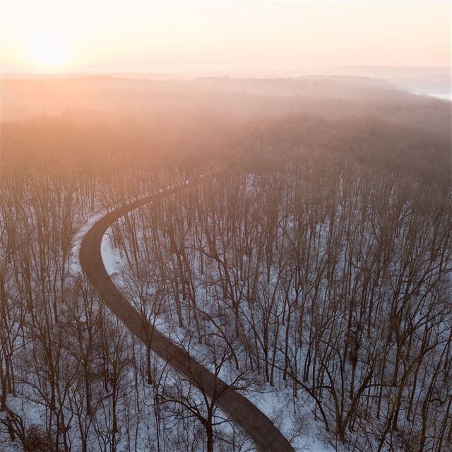 1024x1024 light flare trees forest road snow 4k - photography iPad Wallpaper