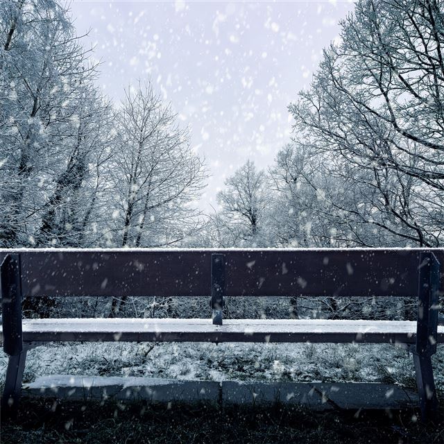 1024x1024 bench snowfall 4k - nature iPad Wallpaper